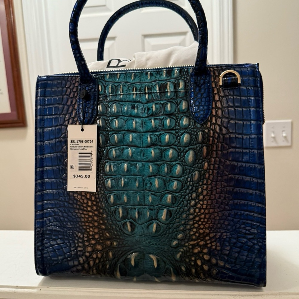 Elegant NWT  Brahmin Caroline in Fortune Ombré.